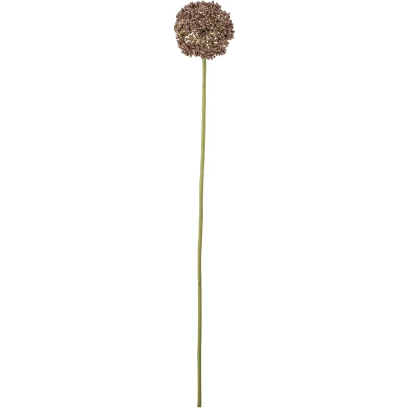 526920