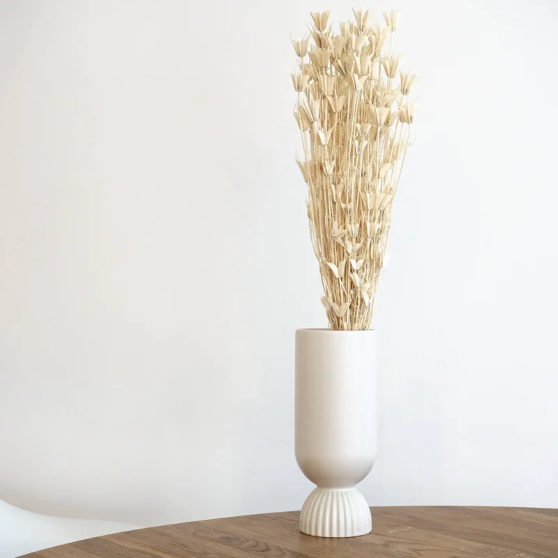 Nigella | Jungfer im Grünen | weiß | terracotta | 70 cm#Farbe_weiß
