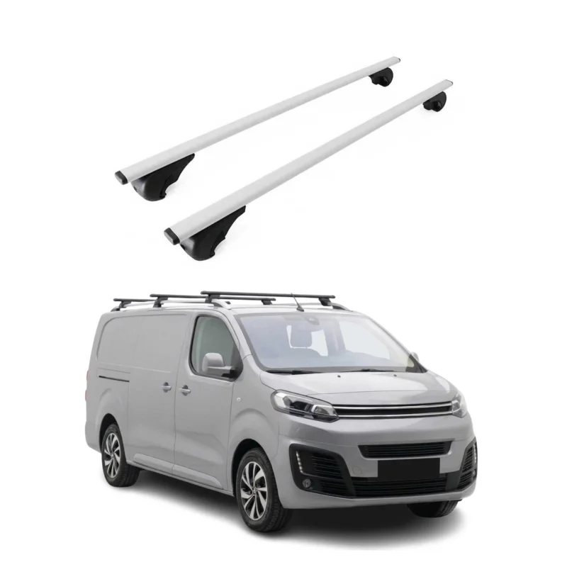 Dachträger Grundträger für Citroen Jumpy 2016-2026 Stahl Silber 2tlg