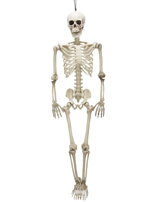 Squelette articulé Halloween pour décoration couleur os