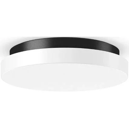 RZB - Decken-/Wandleuchte LED-Wand u.Deckenleuchte 312635.0031 830/840, ML, anthr